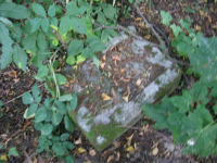 Mieniany-6