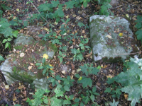 Mieniany-8