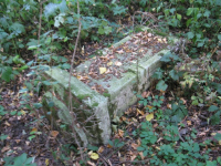 Mieniany-9