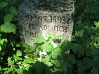 Niewirkow-13
