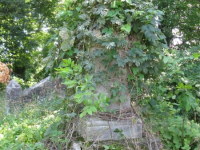 Niewirkow-22