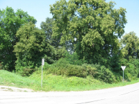 Niewirkow-7