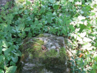 Niewirkow-9