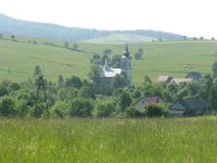 IMG_0341