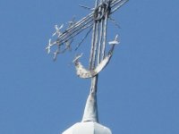 IMG_0348