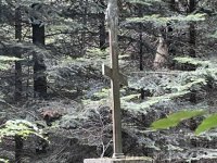 Szybenycznyj_Werch-7