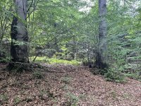 Szybenycznyj_Werch-8