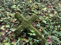IMG_4801-Cisowa-11.10.2025-cmentarz