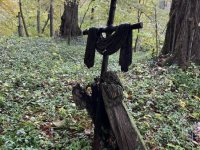 IMG_4802-Cisowa-11.10.2025-cmentarz