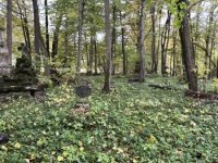 IMG_4804-Cisowa-11.10.2025-cmentarz