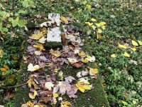 IMG_4815-Cisowa-11.10.2025-cmentarz