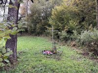 IMG_4826-Cisowa-KRZYZ-11.10.2025