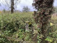 IMG_4883-Wojtkowa-cmentarz-12.10.2025