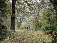 IMG_4886-Wojtkowa-cmentarz-12.10.2025