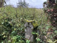 IMG_4890-Wojtkowa-cmentarz-12.10.2025