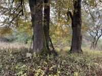 IMG_4893-Wojtkowa-cmentarz-12.10.2025