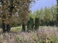 IMG_4908-Wojtkowa-cmentarz-12.10.2025