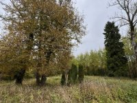 IMG_4909-Wojtkowa-cmentarz-12.10.2025