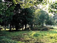 czyszczenie2a