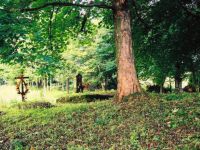 czyszczenie3a
