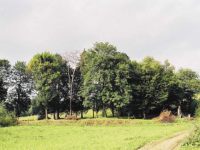 czyszczenie6a