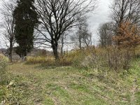 IMG_5434