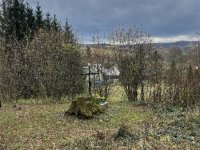 IMG_5446