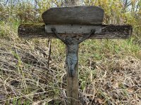 IMG_5450