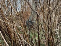 IMG_5461