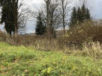 IMG_5463