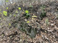 IMG_5467-slady-cerkwiska