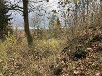 IMG_5468-slady-cerkwiska
