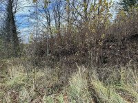 IMG_5469-slady-cerkwiska