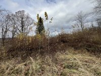 IMG_5470-slady-cerkwiska