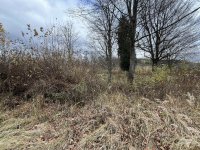 IMG_5471-slady-cerkwiska