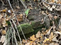 IMG_5472-slady-cerkwiska