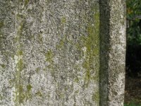 IMG_0062