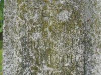 IMG_0072
