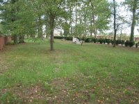IMG_0118