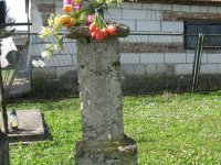 IMG_0011