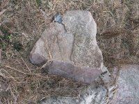 IMG_0405