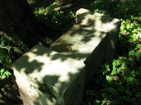 wankowa_059