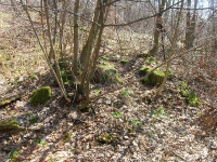 bruzska-4