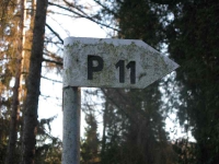 cmentarz_polanastepne_020