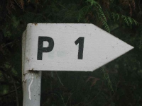 przemysl_cmentarz1_075
