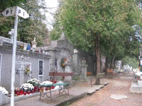 przemysl_cmentarz1_076
