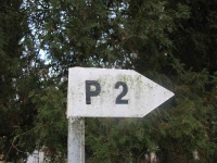 przemysl_cmentarz1_015