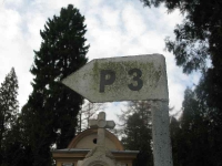przemysl_cmentarz1_029