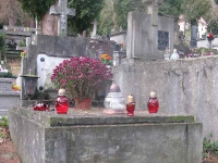 przemysl_cmentarz1_070