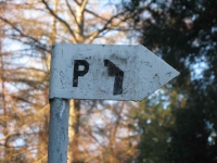 cmentarz_polanastepne_055